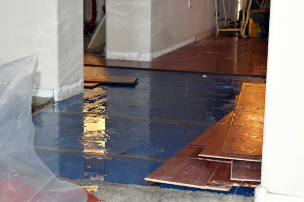 Professional Sewage Cleanup technician working in Lizton, IN